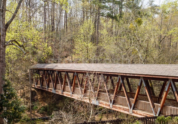 Coperto legno ponte fiume vecchio primavera Foto d'archivio © dbvirago