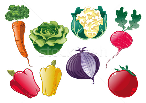 Vegetables. vector illustration © ddraw (#4483315)