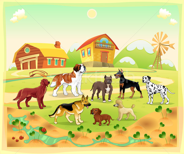 Landscape with group of dogs Stock photo © ddraw