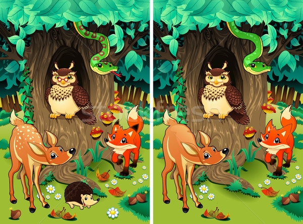 Spot the differences. Stock photo © ddraw