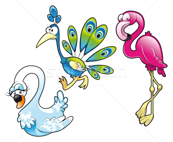 Paon cygne Flamingo drôle cartoon vecteur [[stock_photo]] © ddraw