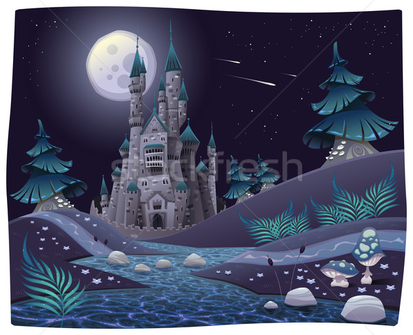 Nightly panorama with castle.  Stock photo © ddraw