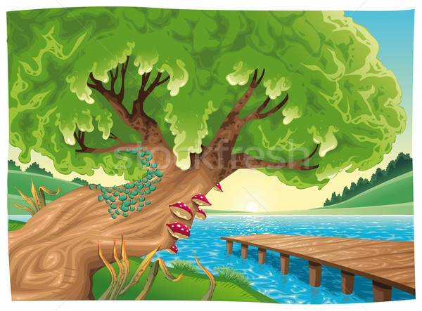 Landschaft Wasser isolierte Objekte Frühling Gras Holz Stock foto © ddraw