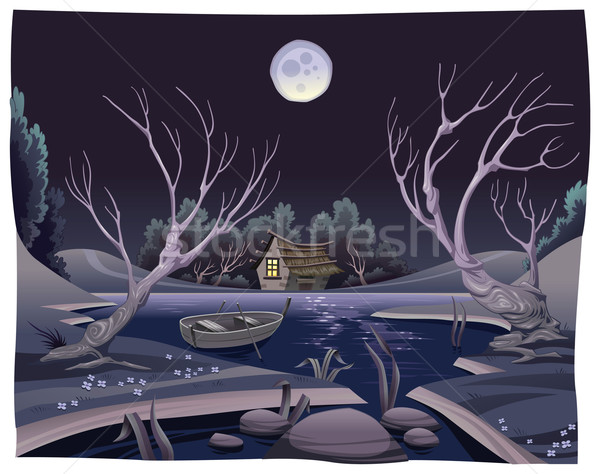 Pond in the night. Stock photo © ddraw