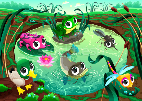 Funny animals in the pond Stock photo © ddraw