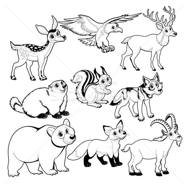 Wood and mountain animals in Black and white Stock photo © ddraw