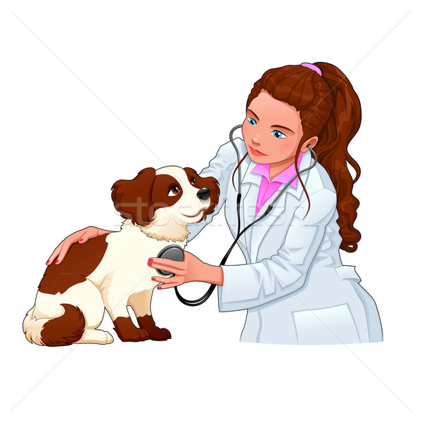 Veteriner köpek komik karikatür yalıtılmış Stok fotoğraf © ddraw