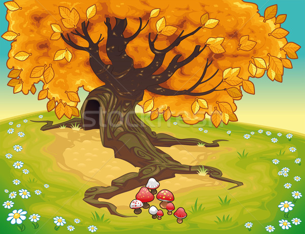 Tree in autumnal landscape. Stock photo © ddraw