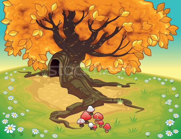 Drzewo jesienny krajobraz wektora kwiat charakter Zdjęcia stock © ddraw