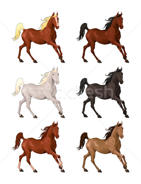 Stock photo: Horses in different colors.