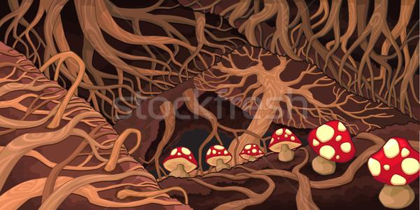 Underground with roots and mushrooms.  Stock photo © ddraw