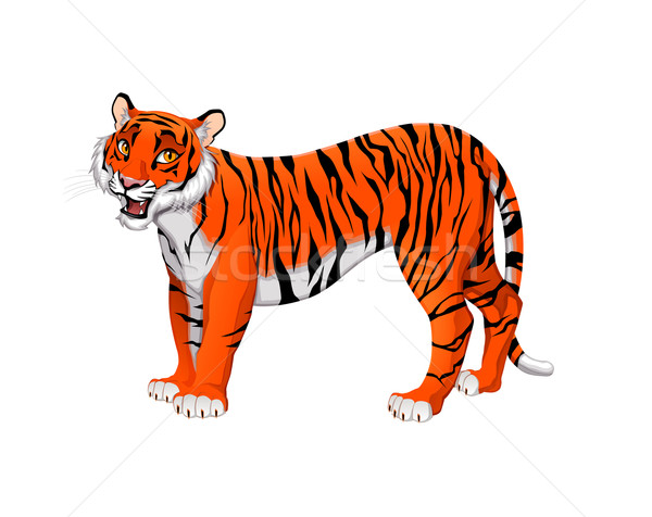 Foto stock: Vermelho · desenho · animado · tigre · vetor · isolado · animal