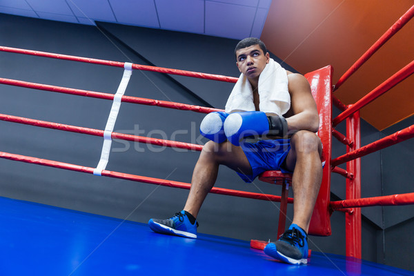 Boxeador sessão canto boxe anel masculino Foto stock © deandrobot