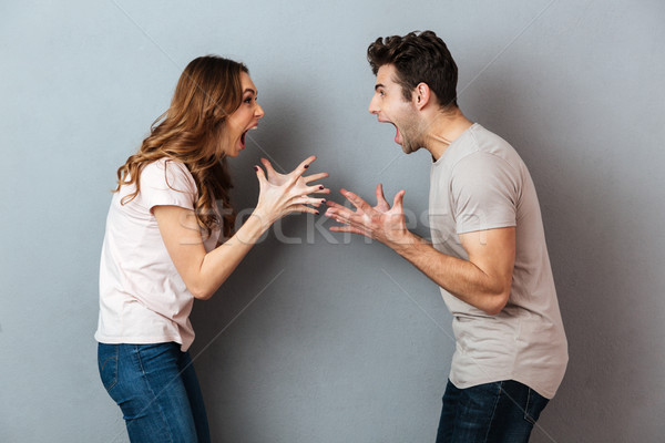 Portrait of a furious young couple having an argument Stock photo © deandrobot