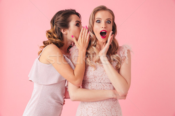 Elegant women standing together and having secret Stock photo © deandrobot