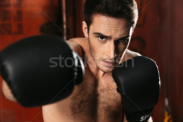 Boxeur permanent gymnase posant mains image Photo stock © deandrobot