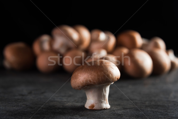 грибы темно изображение здоровья фон кадр Сток-фото © deandrobot