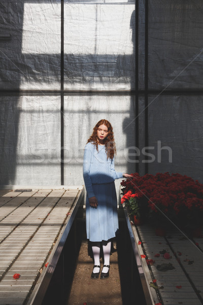 Shot of woman in orangery Stock photo © deandrobot