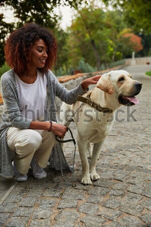 Pretty owner walking with her dog in the morning in park Stock photo © deandrobot