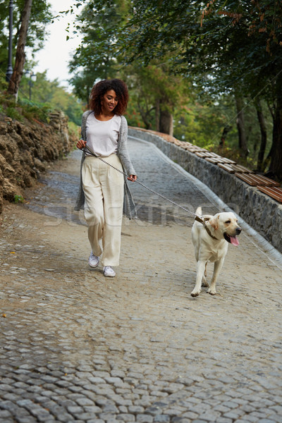 Pretty young lady walking with dog in park in the morning Stock photo © deandrobot