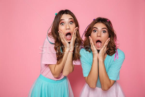 Close-up portrait of two shocked girls in children's clothes tou Stock photo © deandrobot