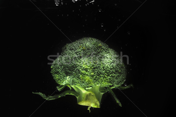 Fresco brócolis água isolado preto natureza Foto stock © deandrobot