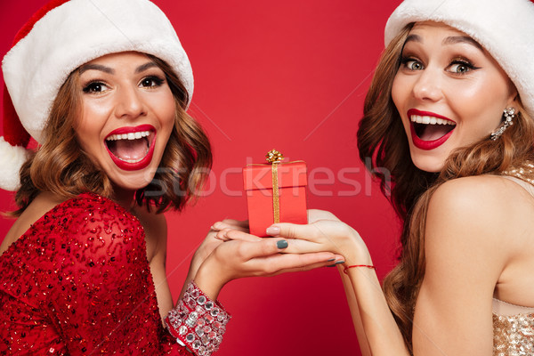 Közelkép portré kettő boldog mosolyog nők Stock fotó © deandrobot