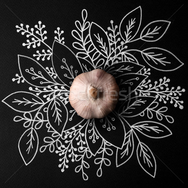 Whole garlic over outline floral background Stock photo © deandrobot