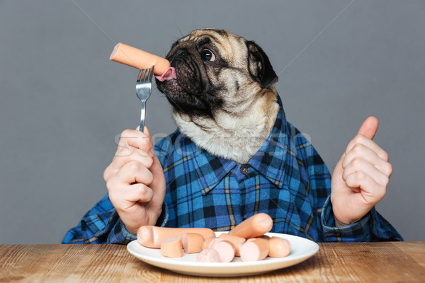 Man with pug dog head in checkered shirt eating sausages  Stock photo © deandrobot