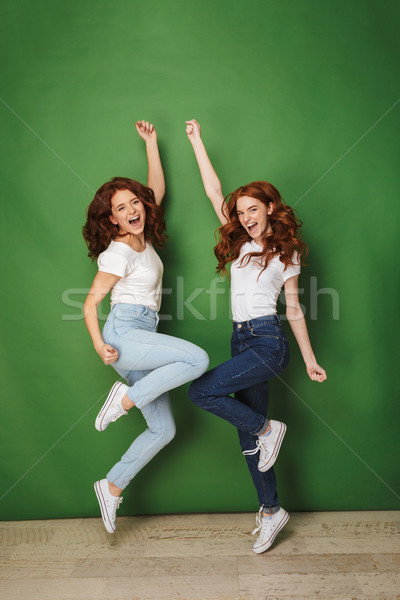Full length photo of two joyous girls 20s with ginger hair in ca Stock photo © deandrobot