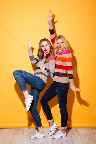 Full length portrait of two cheery girls Stock photo © deandrobot