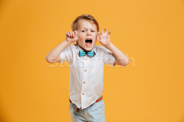 Emotional screaming little boy try to make you scare. Stock photo © deandrobot