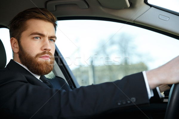 Stock photo: Serious bearded business man driving car