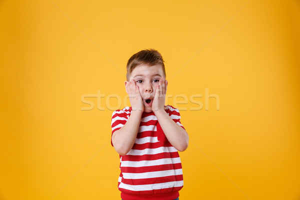Surprised little kid with hands on his face Stock photo © deandrobot