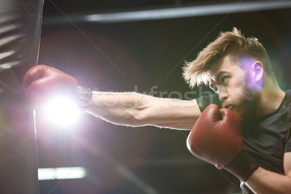 Jóképű fiatal erős sportok férfi boxoló Stock fotó © deandrobot