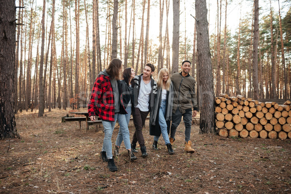 Stock photo: Happy group of friends walking outdoors in the forest.