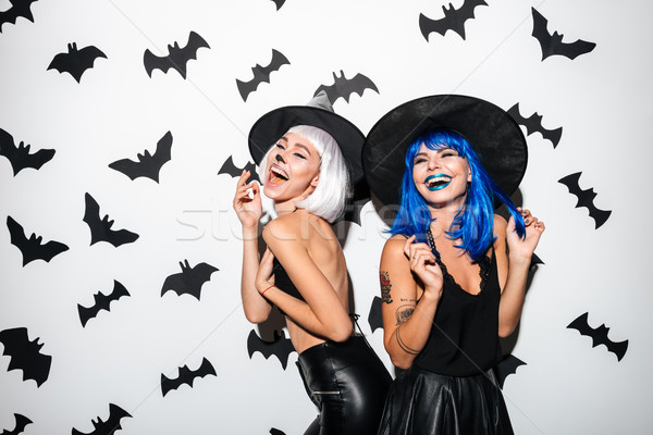 Zdjęcia stock: Emocjonalny · młodych · kobiet · halloween · kostiumy · obraz · dwa