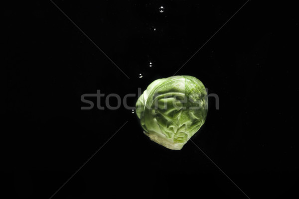 Close up of a fresh brussels sprout with water drops Stock photo © deandrobot