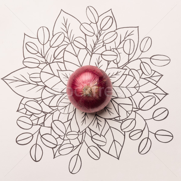 Red onion over outline floral background Stock photo © deandrobot