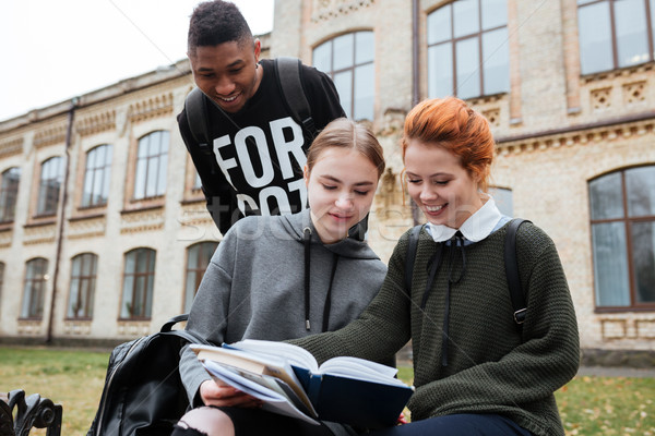 Foto stock: Grupo · feliz · estudiantes · estudiar · aire · libre