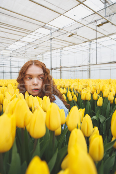 Girl in greenhouse Stock photo © deandrobot