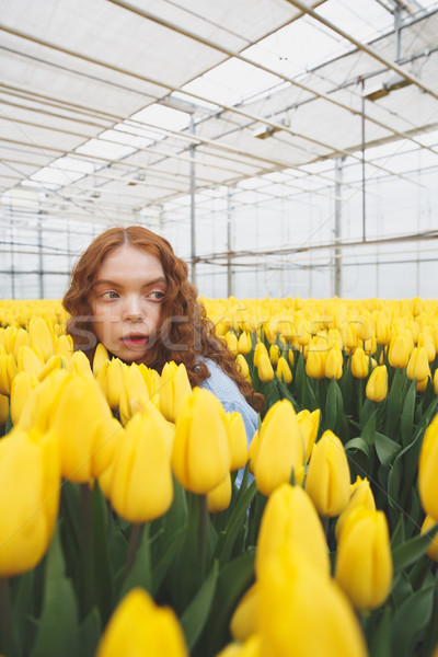 Mädchen Gewächshaus interessant Tulpen Stock foto © deandrobot