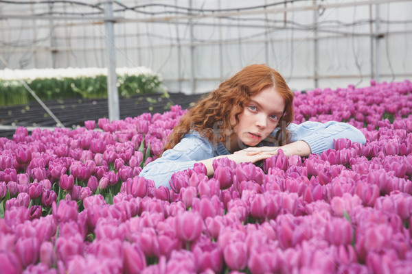Girl lying on tulips Stock photo © deandrobot
