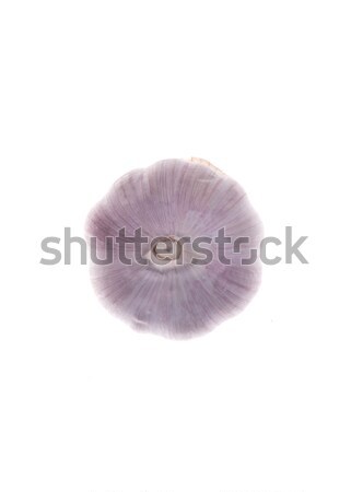 Fresh garlic isolated over white Stock photo © deandrobot