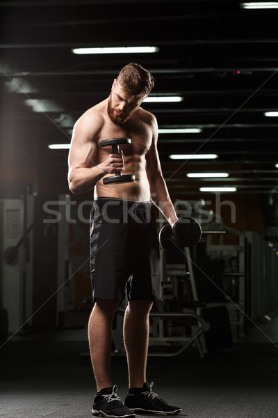 Guapo deportes hombre deporte pesas Foto stock © deandrobot