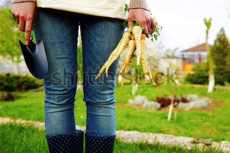 Midsection of woman holding bunch of freshly harvested vegetables and a hoe in garden Stock photo © deandrobot