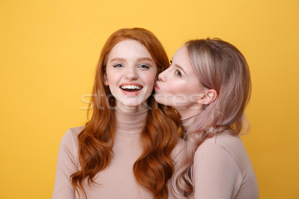 Stockfoto: Gelukkig · jonge · twee · dames · vrienden · foto