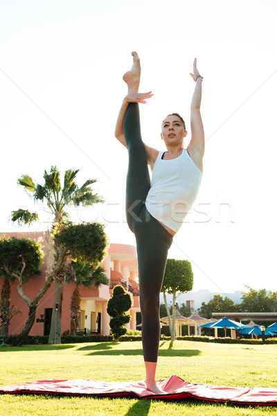 Pretty young fitness lady make stretching exercises Stock photo © deandrobot