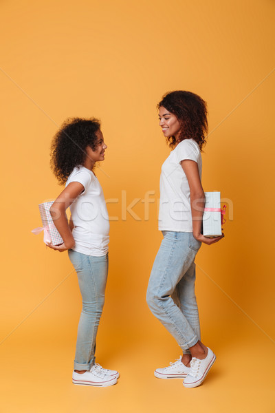 Stockfoto: Portret · twee · gelukkig · afro · amerikaanse