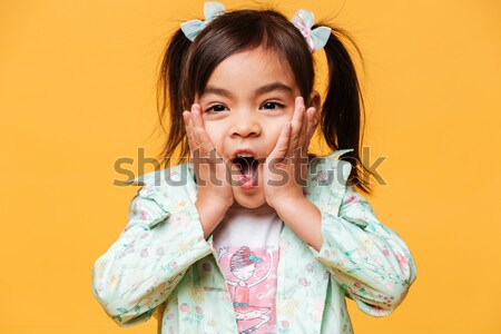 Boldog kislány gyermek áll izolált fotó Stock fotó © deandrobot